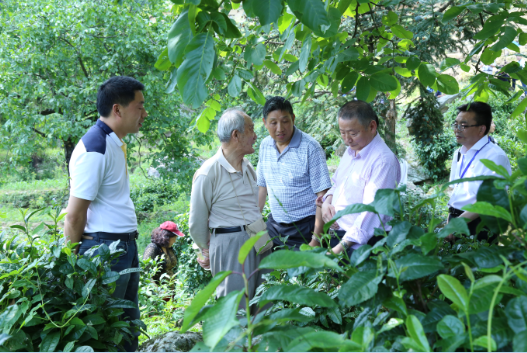 安康富硒茶引爆中國西部最牛茶專業展會(圖11)