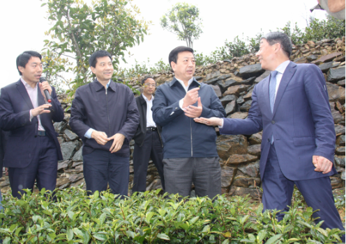 安康富硒茶引爆中國西部最牛茶專業展會(圖8)
